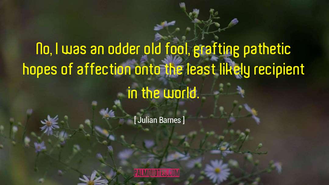 Grafting quotes by Julian Barnes