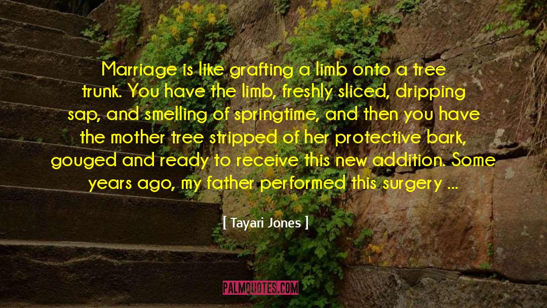 Grafting quotes by Tayari Jones