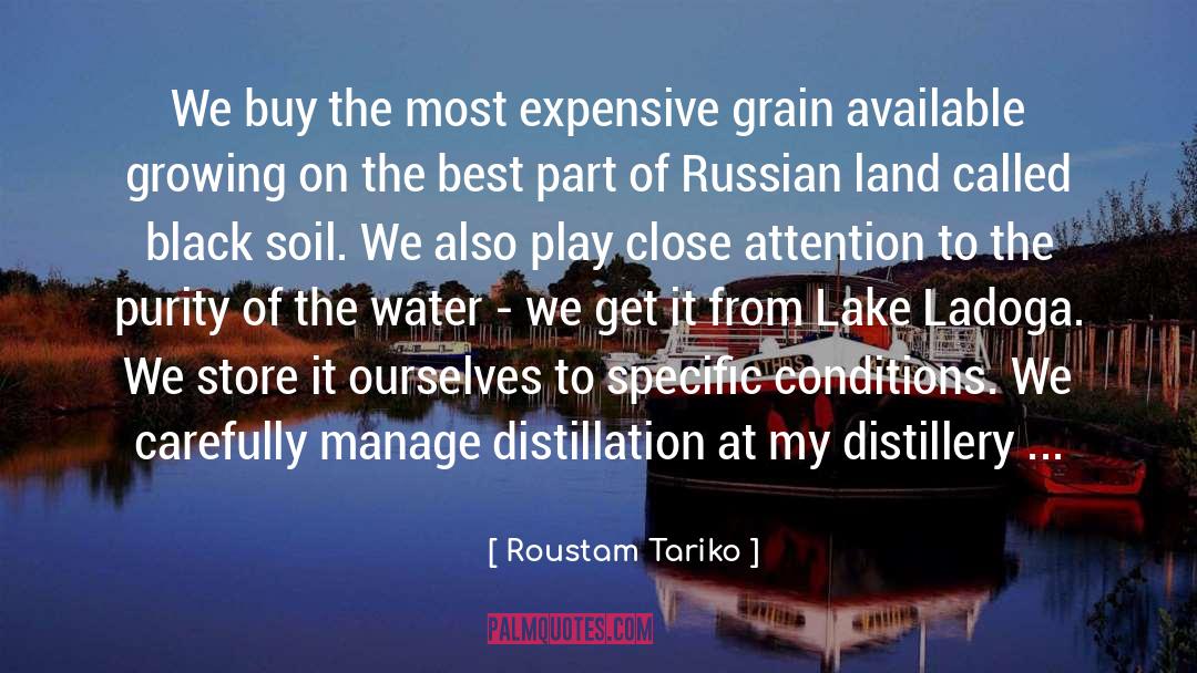 Grain Of Salt quotes by Roustam Tariko