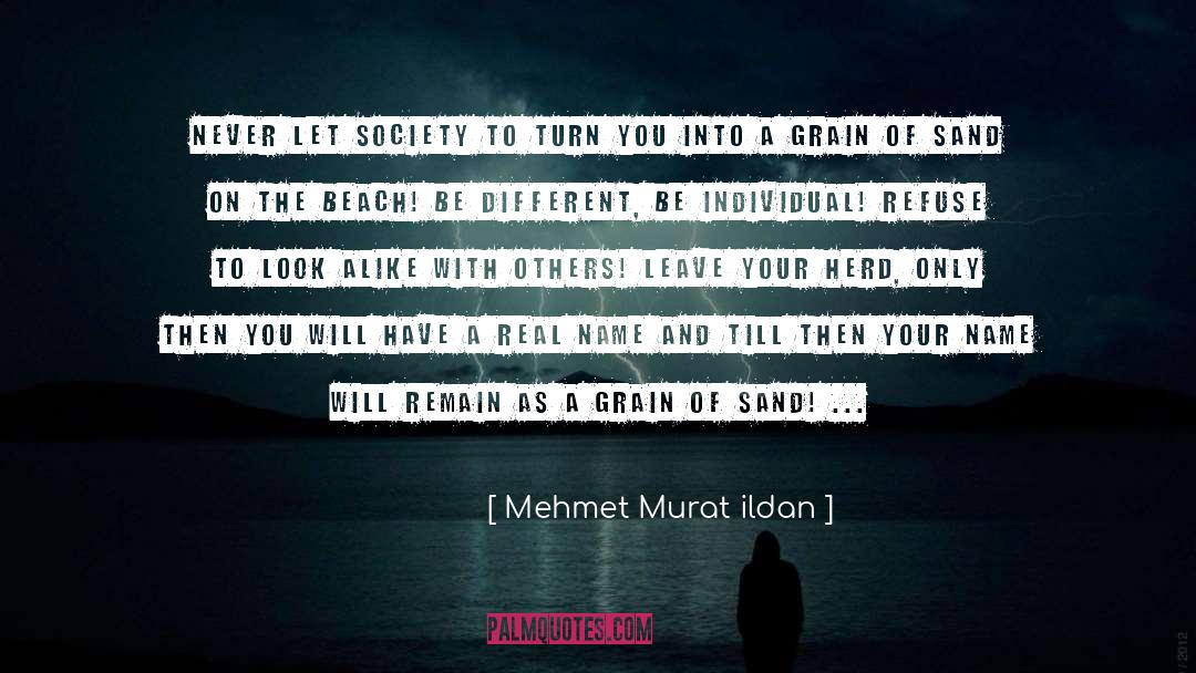 Grain Of Sand quotes by Mehmet Murat Ildan