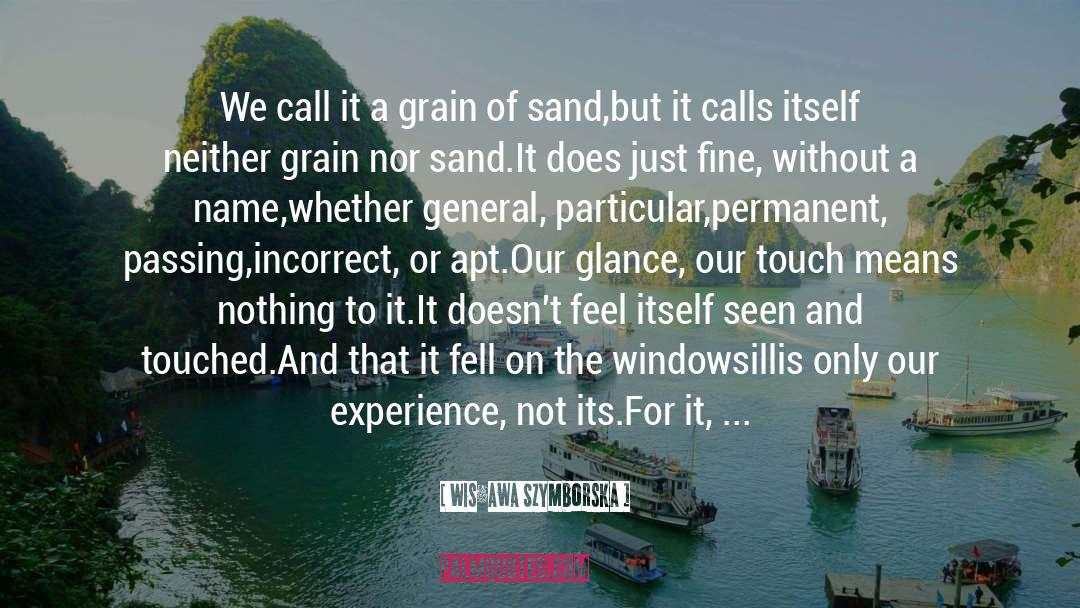 Grain Of Sand quotes by Wisława Szymborska