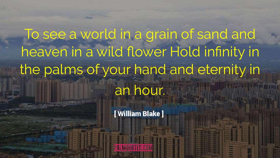 Grain Of Sand quotes by William Blake