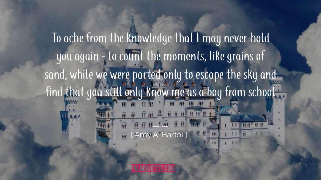 Grains Of Sand quotes by Amy A. Bartol