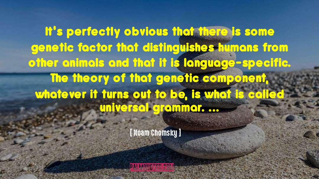 Grammar Of quotes by Noam Chomsky