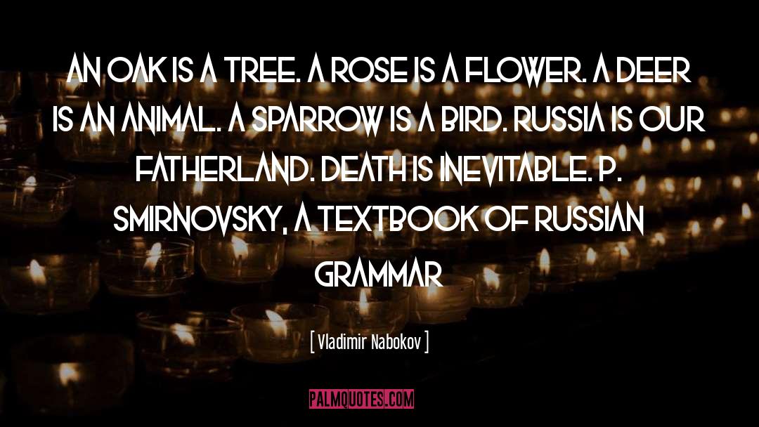 Grammar quotes by Vladimir Nabokov