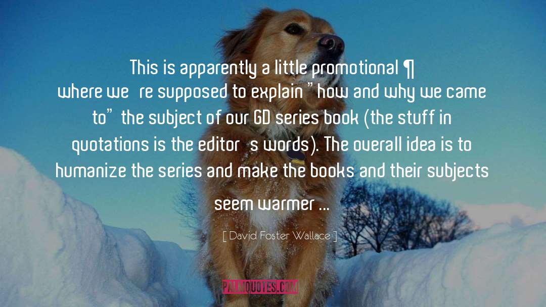 Grammar quotes by David Foster Wallace