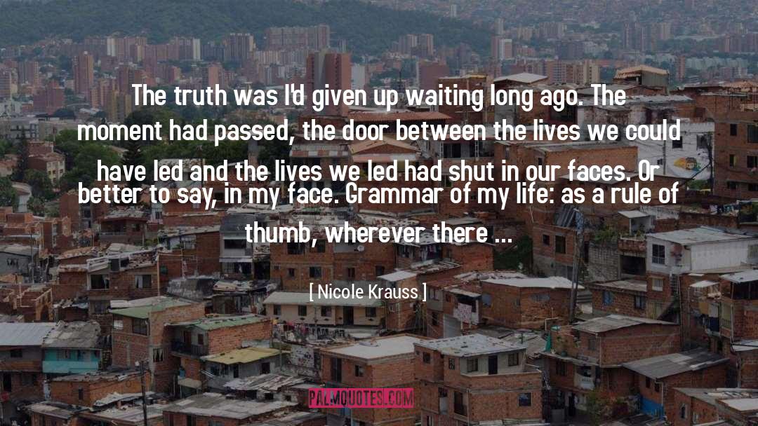 Grammar quotes by Nicole Krauss