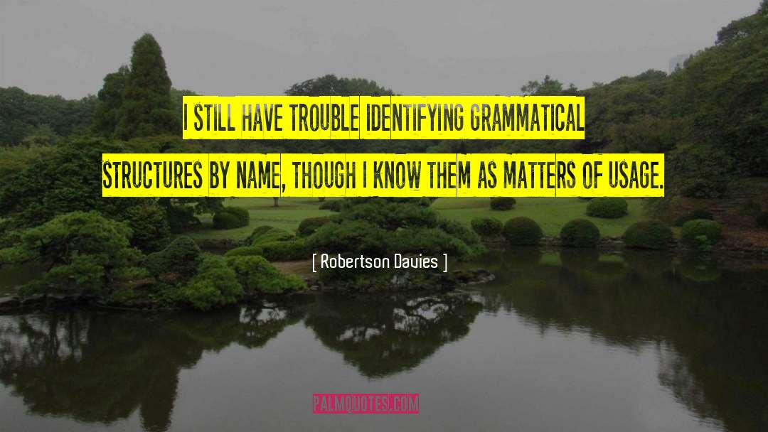 Grammatical quotes by Robertson Davies