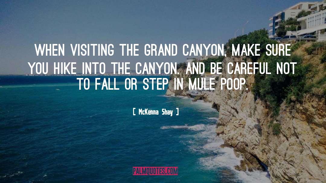 Grand Canyon quotes by McKenna Shay