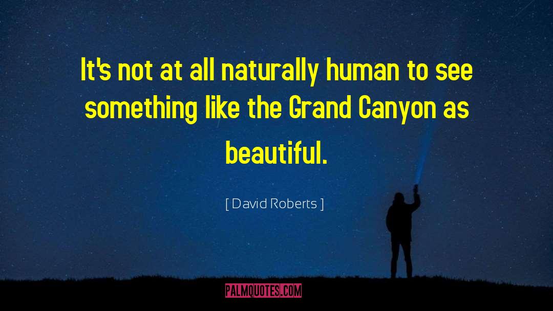 Grand Canyon quotes by David Roberts