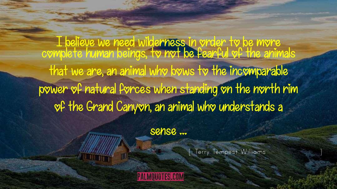 Grand Canyon quotes by Terry Tempest Williams
