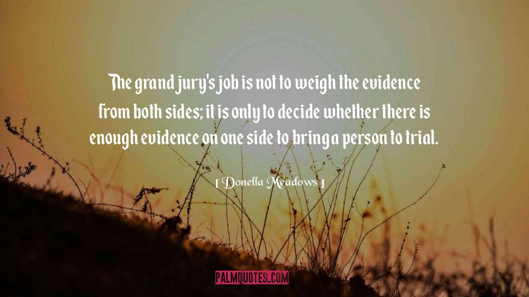 Grand Jury quotes by Donella Meadows