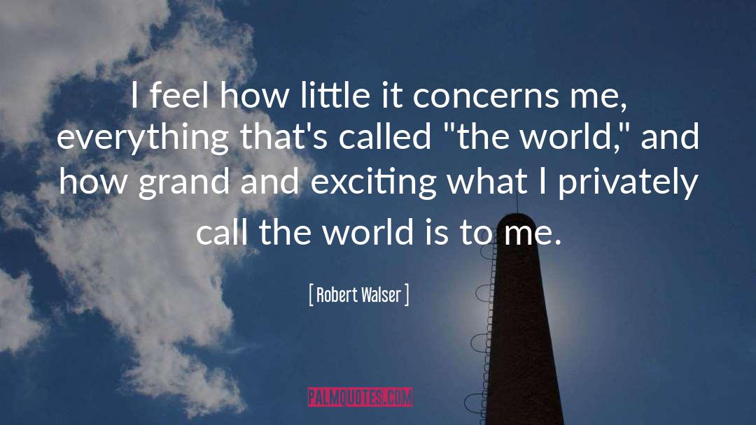 Grand Picture quotes by Robert Walser