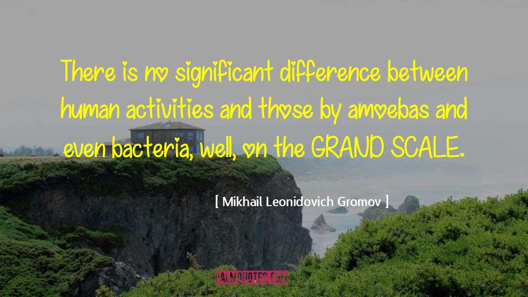 Grand Scale quotes by Mikhail Leonidovich Gromov