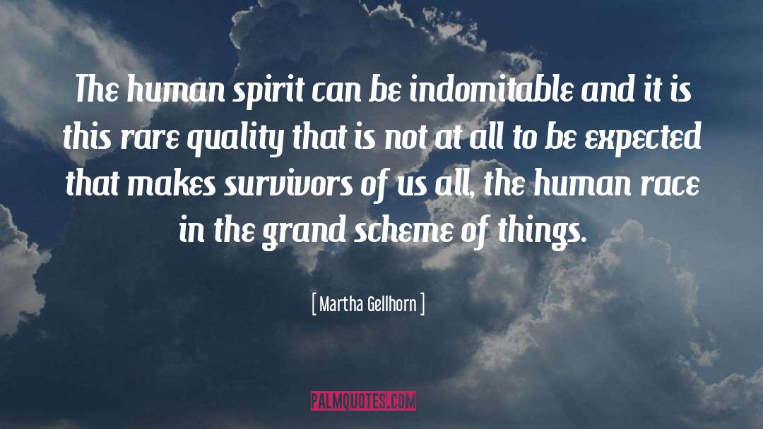 Grand Scheme quotes by Martha Gellhorn