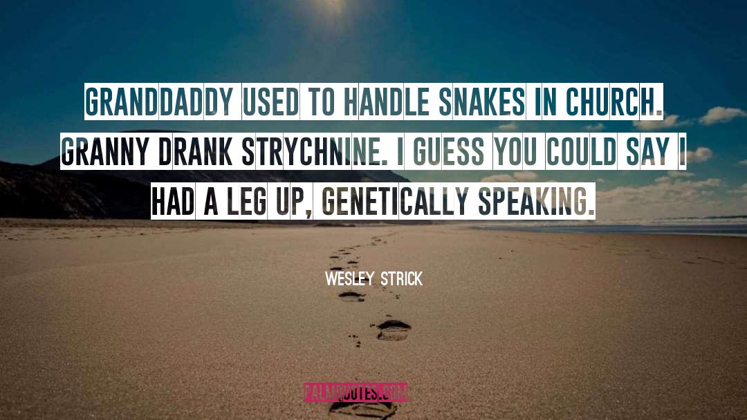 Granddaddy quotes by Wesley Strick
