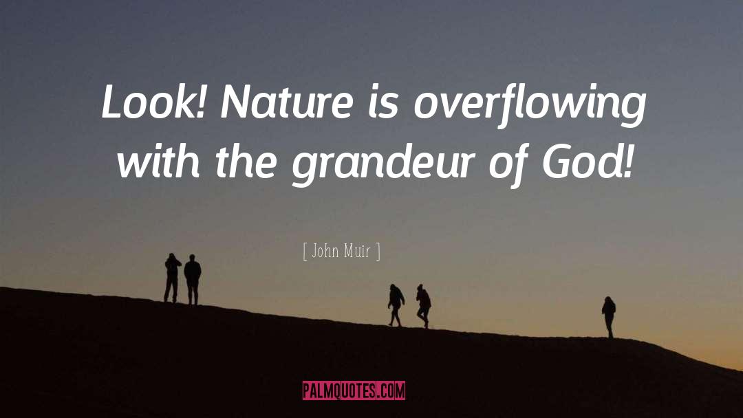 Grandeur quotes by John Muir