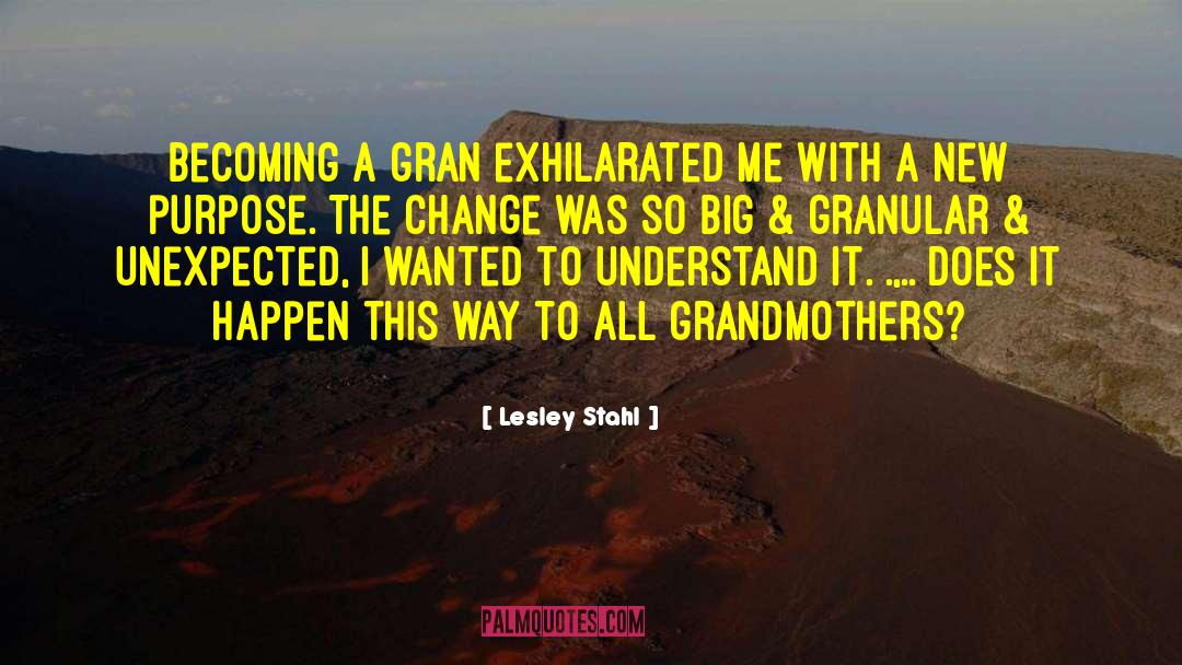 Grandmothers quotes by Lesley Stahl