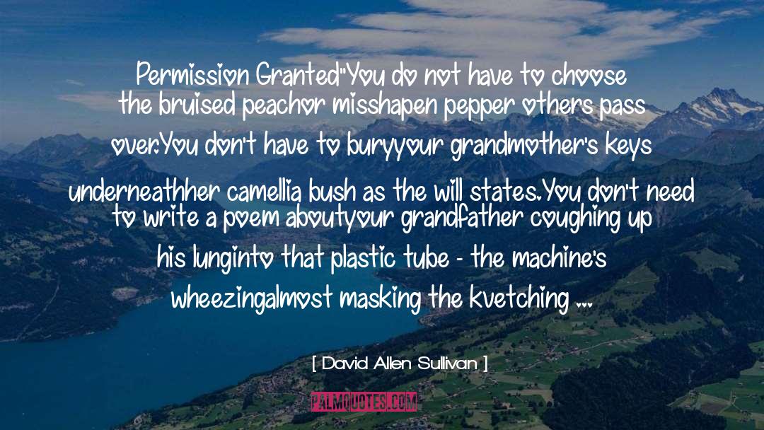 Grandmothers quotes by David Allen Sullivan