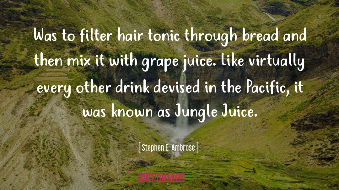 Grape Juice quotes by Stephen E. Ambrose