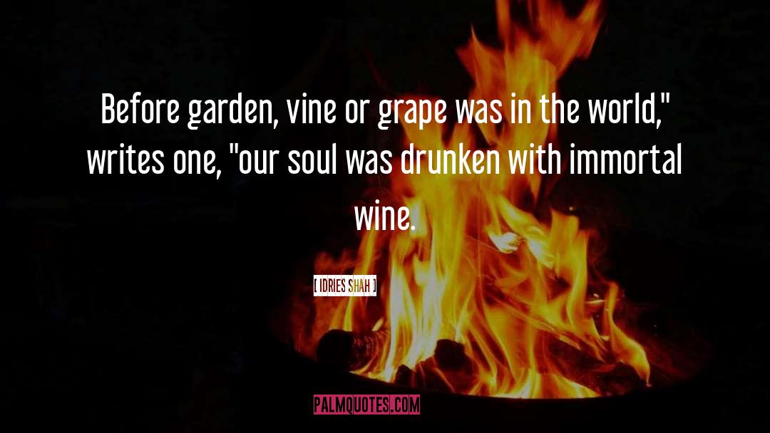 Grape quotes by Idries Shah