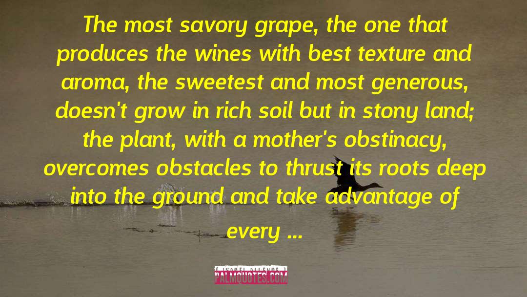 Grape Stomping quotes by Isabel Allende