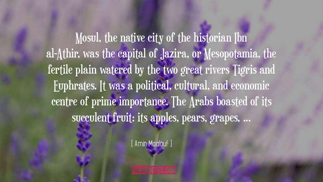 Grapes quotes by Amin Maalouf