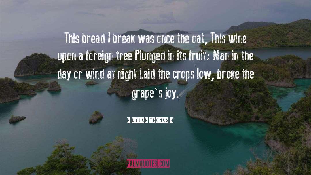 Grapes quotes by Dylan Thomas