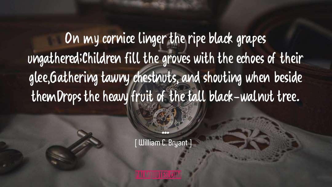 Grapes quotes by William C. Bryant