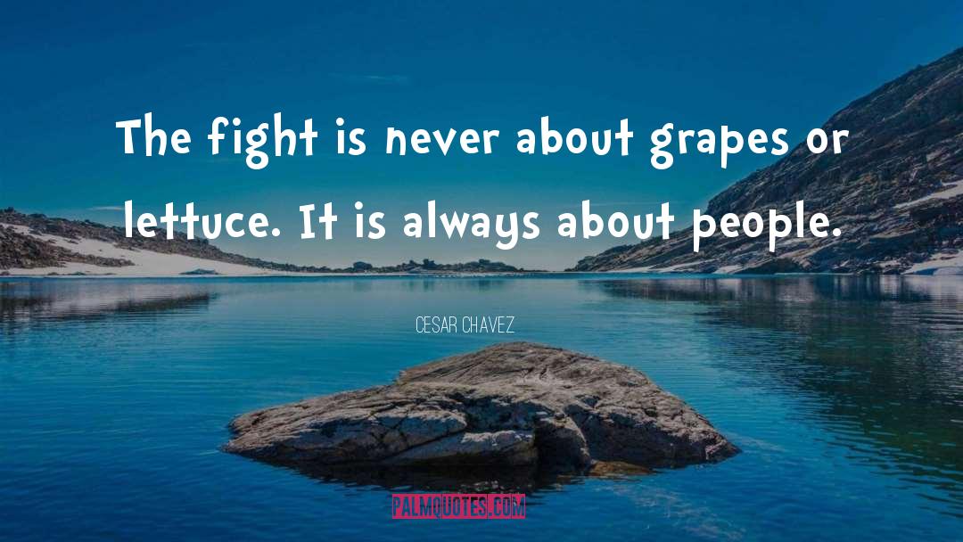 Grapes quotes by Cesar Chavez