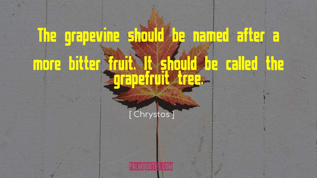 Grapevine quotes by Chrystos