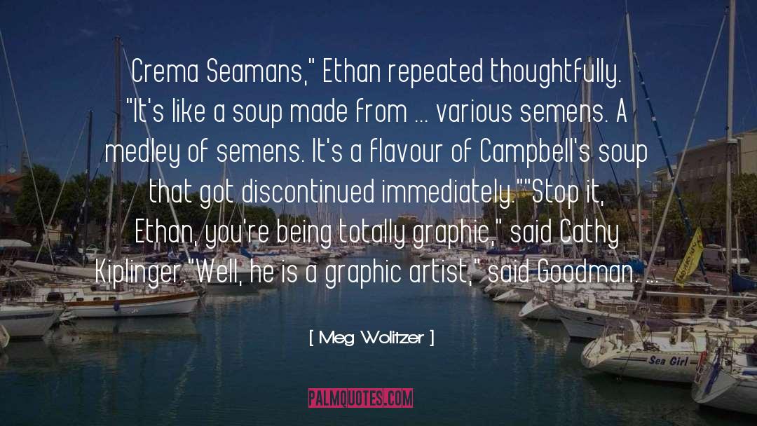 Graphic Artist quotes by Meg Wolitzer