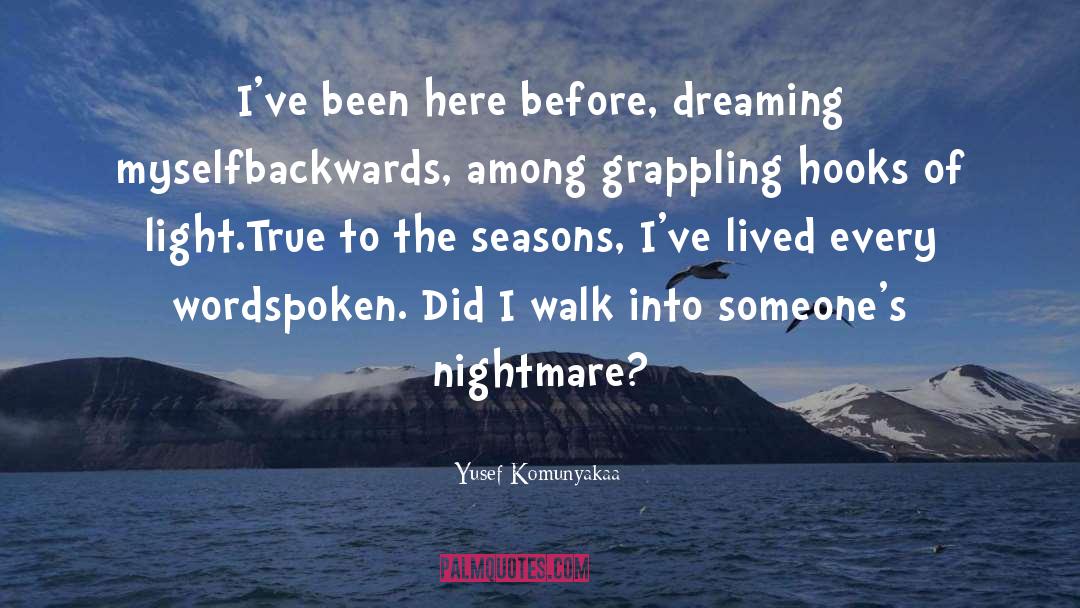 Grappling quotes by Yusef Komunyakaa