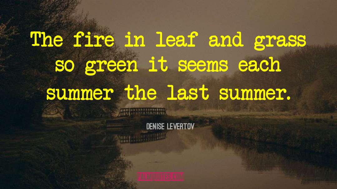 Grass Green quotes by Denise Levertov