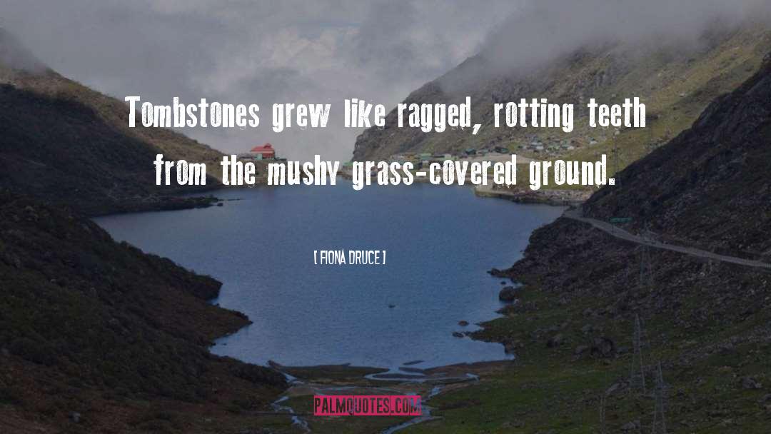Grass Greener quotes by Fiona Druce