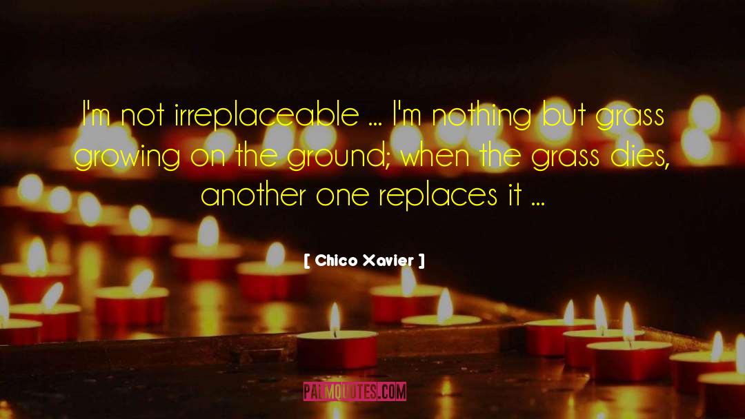 Grass Growing quotes by Chico Xavier