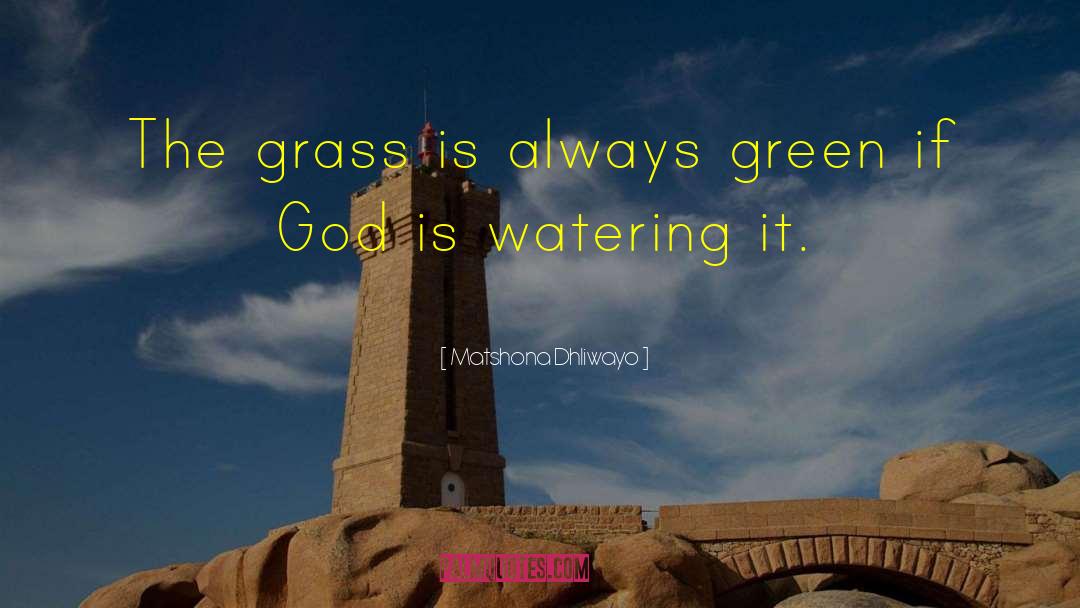 Grass Is Always Greener quotes by Matshona Dhliwayo