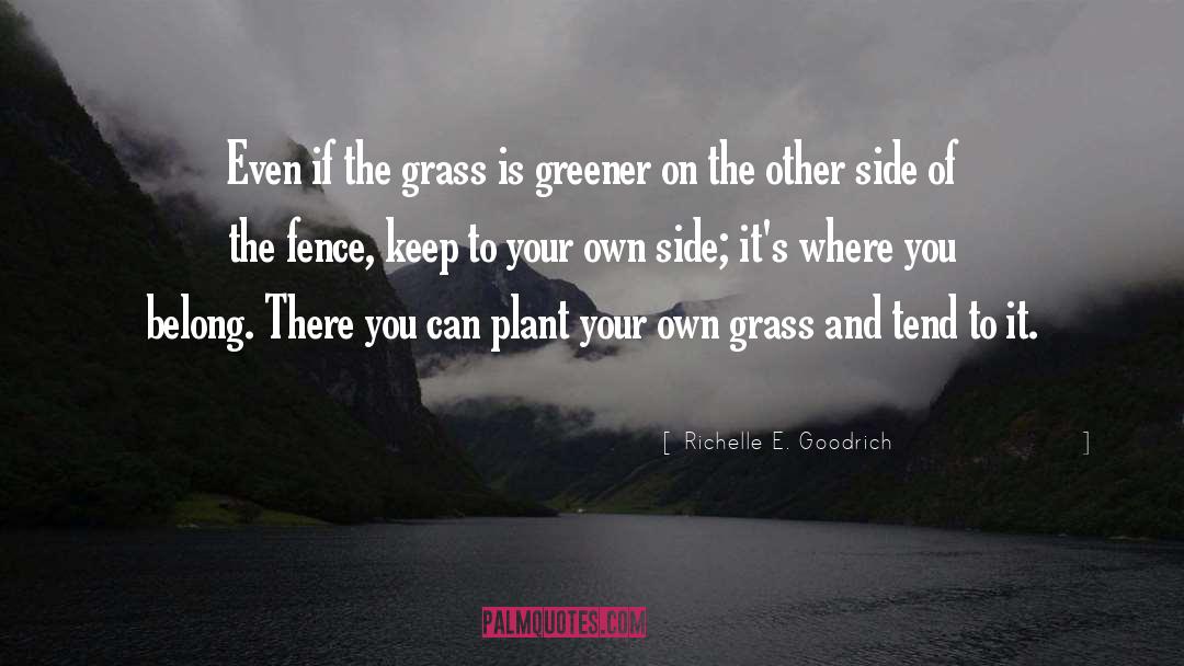 Grass Is Greener On The Other Side quotes by Richelle E. Goodrich