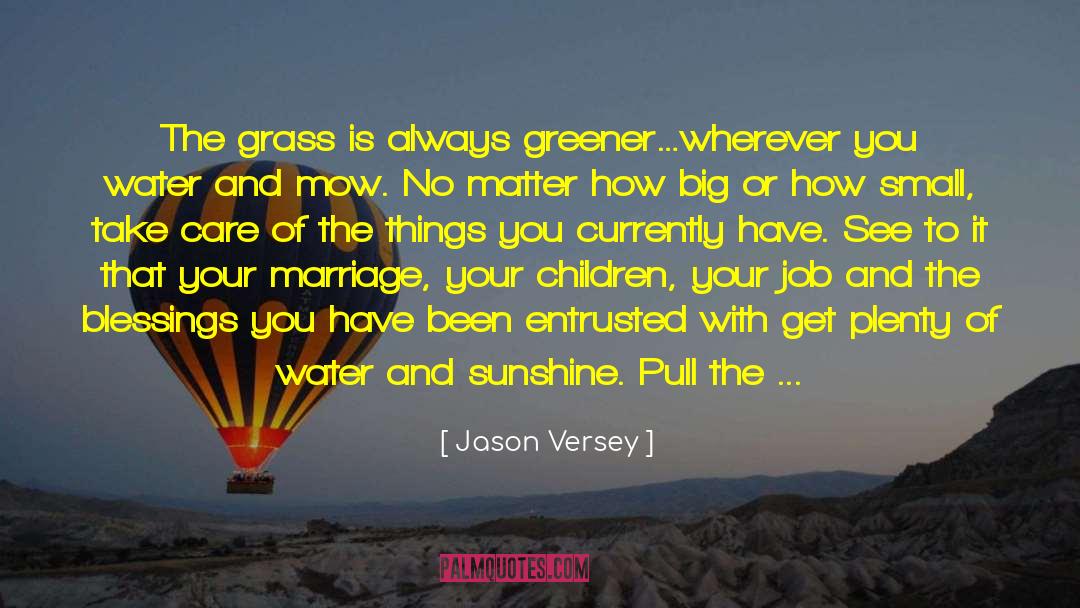 Grass Is Greener quotes by Jason Versey