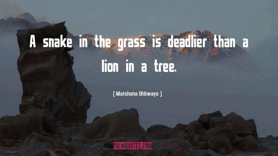 Grass quotes by Matshona Dhliwayo