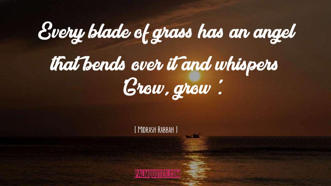 Grass quotes by Midrash Rabbah