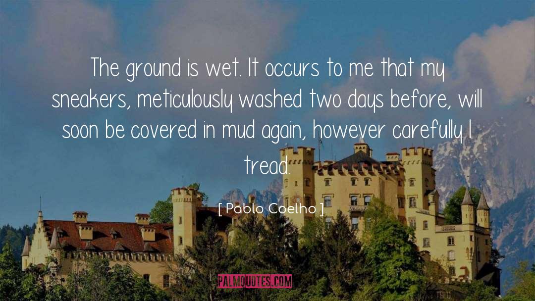 Grassed Covered quotes by Pablo Coelho