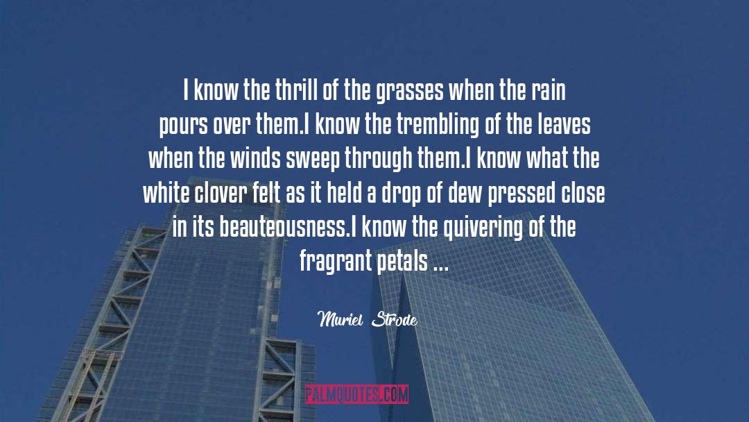 Grasses quotes by Muriel Strode