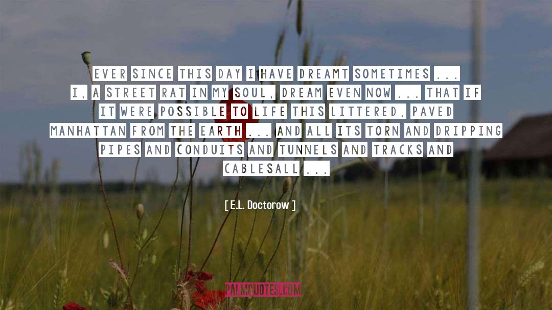 Grasses quotes by E.L. Doctorow