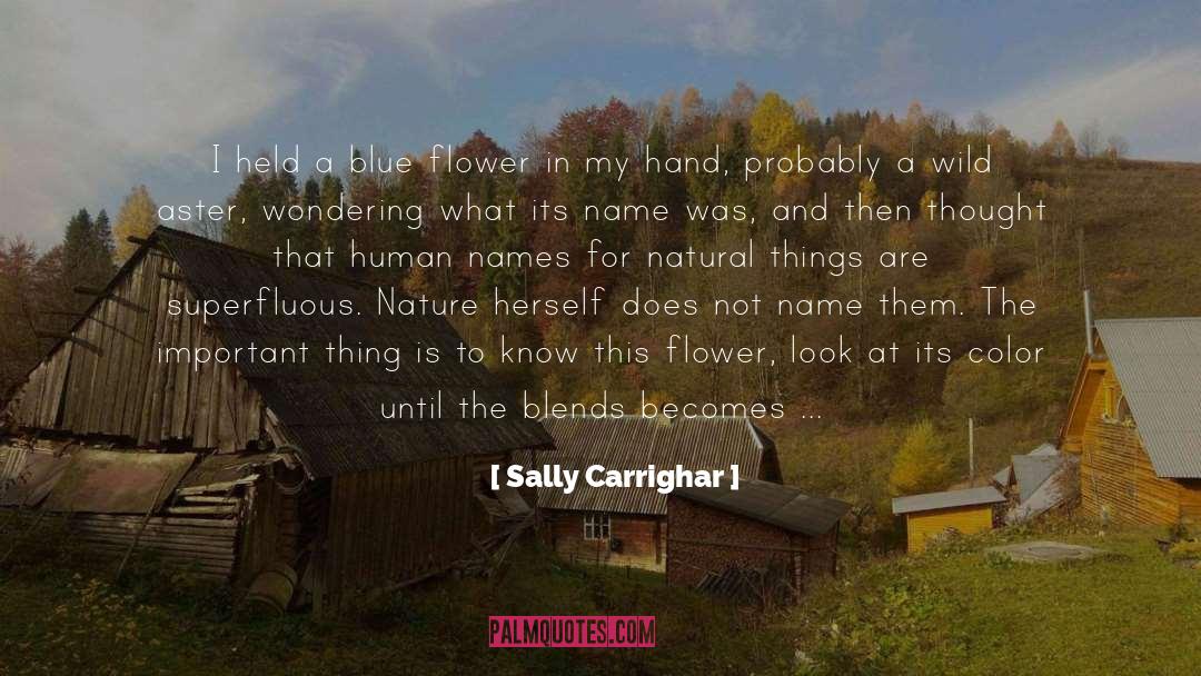 Grasses quotes by Sally Carrighar