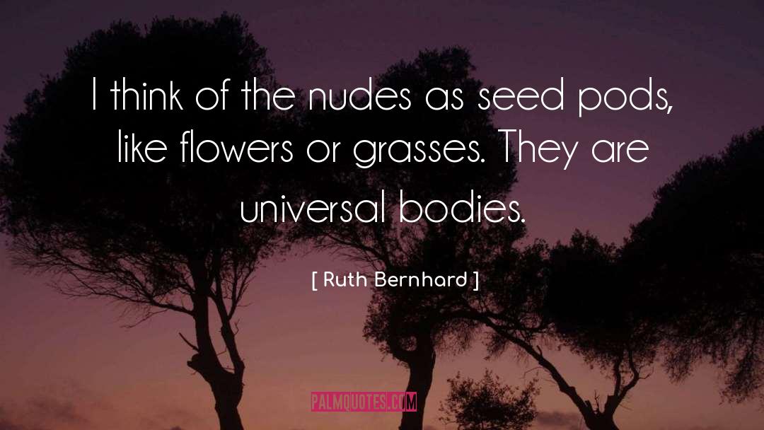 Grasses quotes by Ruth Bernhard