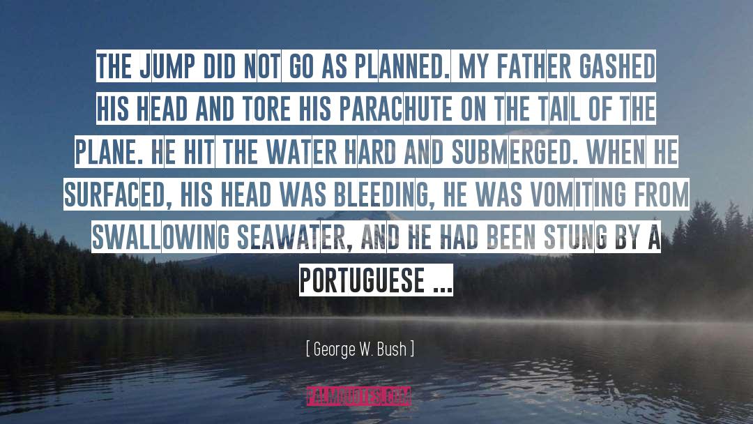 Grasshoff Seawater quotes by George W. Bush