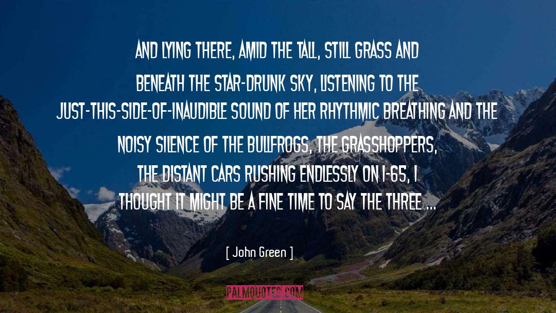 Grasshoppers quotes by John Green