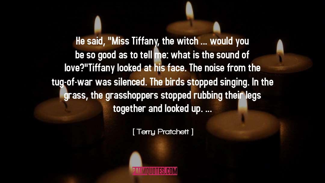 Grasshoppers quotes by Terry Pratchett