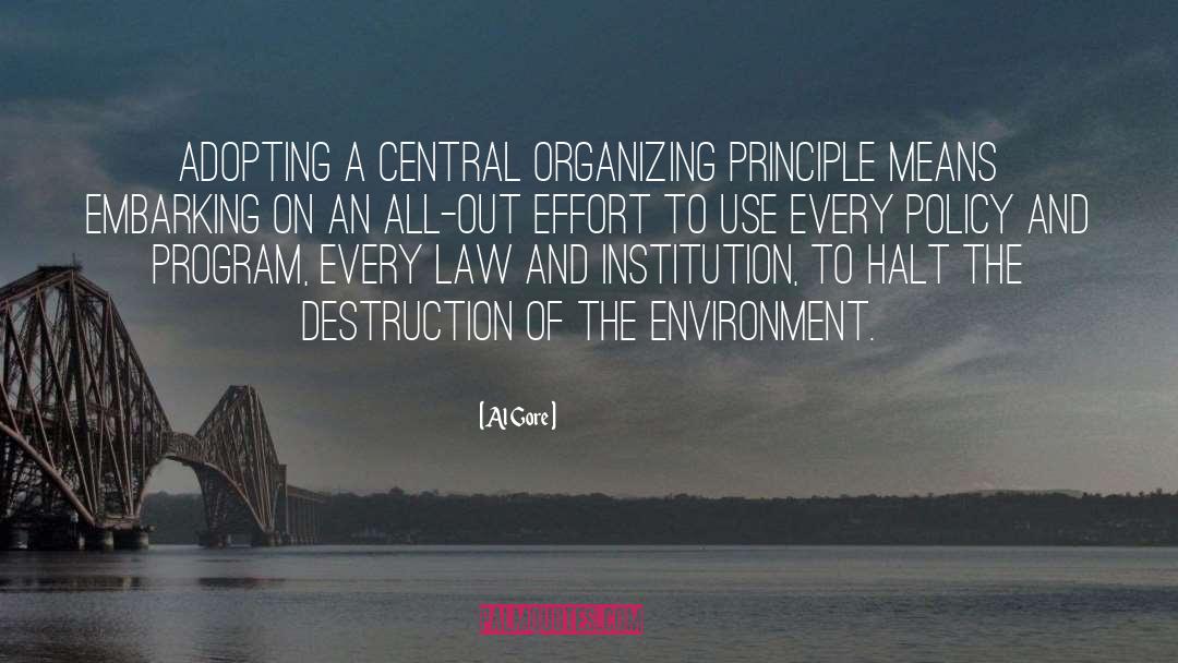 Grassroots Organizing quotes by Al Gore